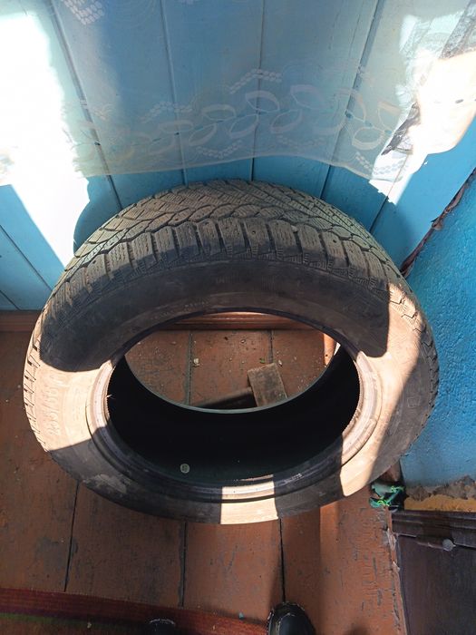 зимняя резина шипованная