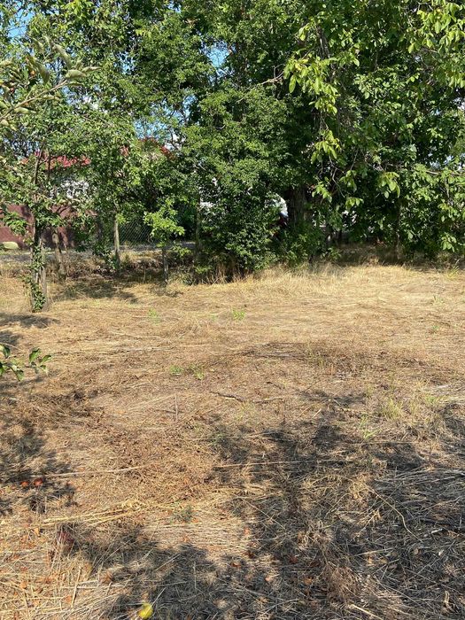 Vând Teren 1500 m² (Sau 2 loturi a 750 m² fiecare) (Preț negociabil)