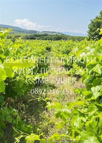 Продава се Земеделски имот в с. Брестовица, Област Пловдив -  кв.м за 2933 €/дка - Снимка #4