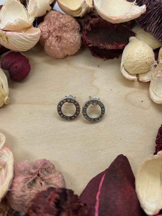 Сребърни Обеци,висулка и гривна 925