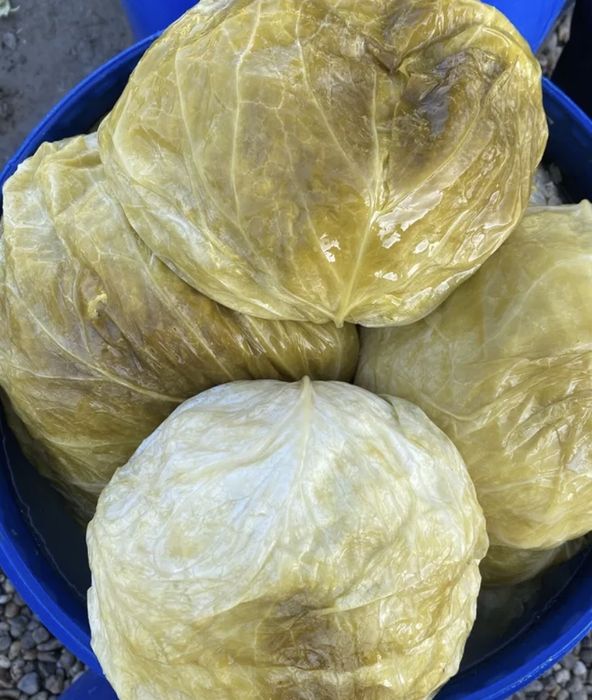 Varza si castraveti murati