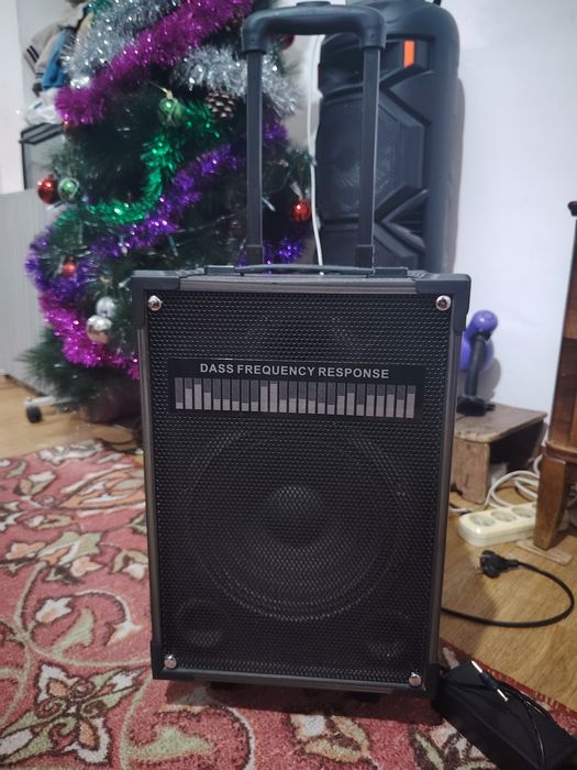 Колонка на колесиках