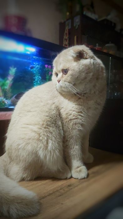 Приглашает на ВЯЗКУ