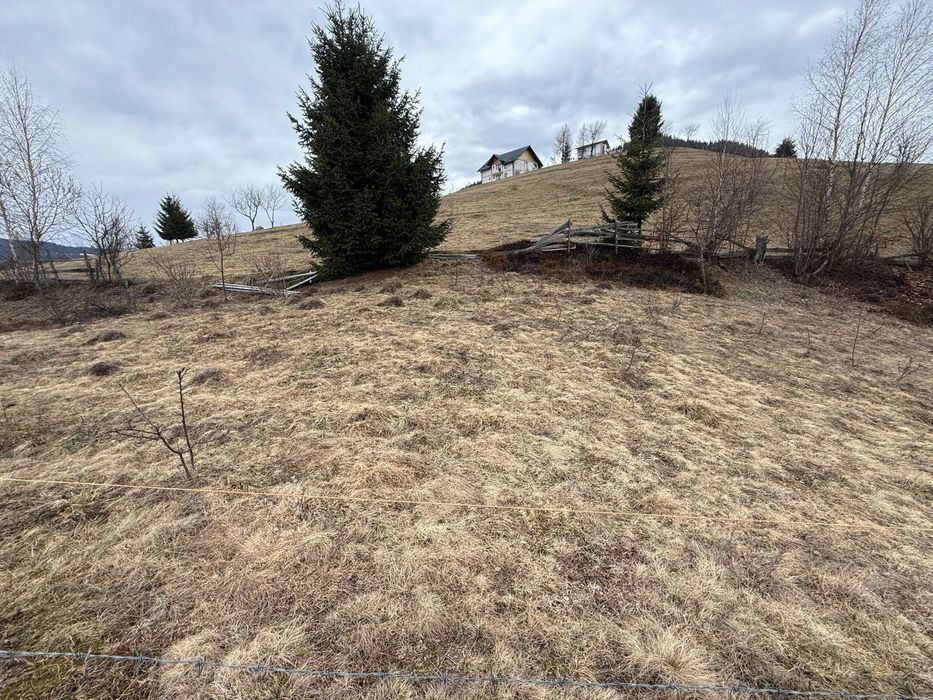 Vand teren Intravilan Albac Apuseni