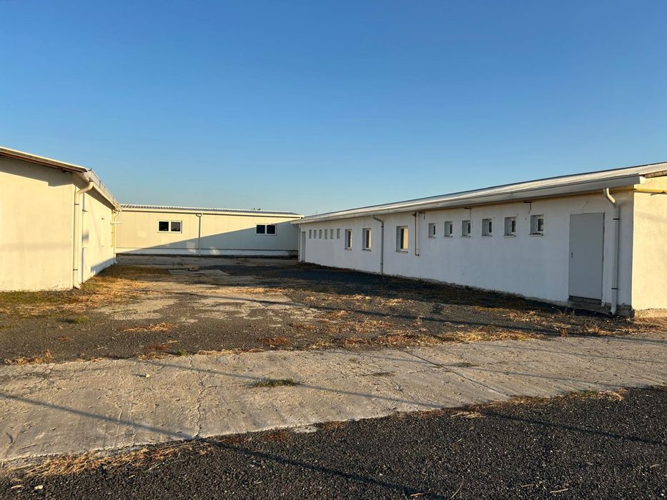 Hala Industriala de vanzare sau inchiriere-Arad,langa autostrada A1