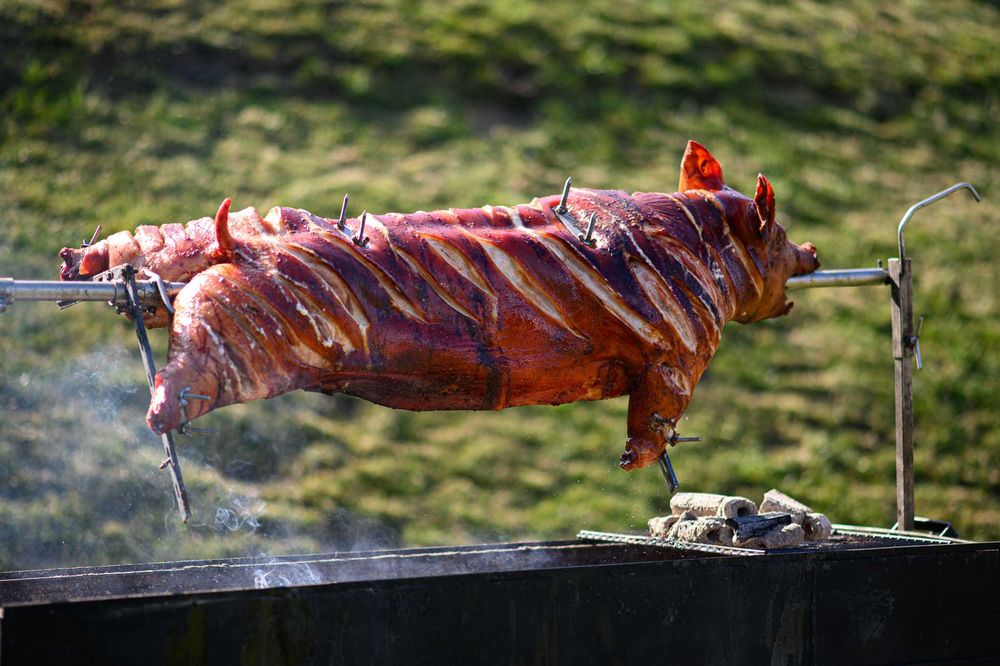 PROTAP BBQ live show grill smoker gatit vitel purcel berbecut bucatar