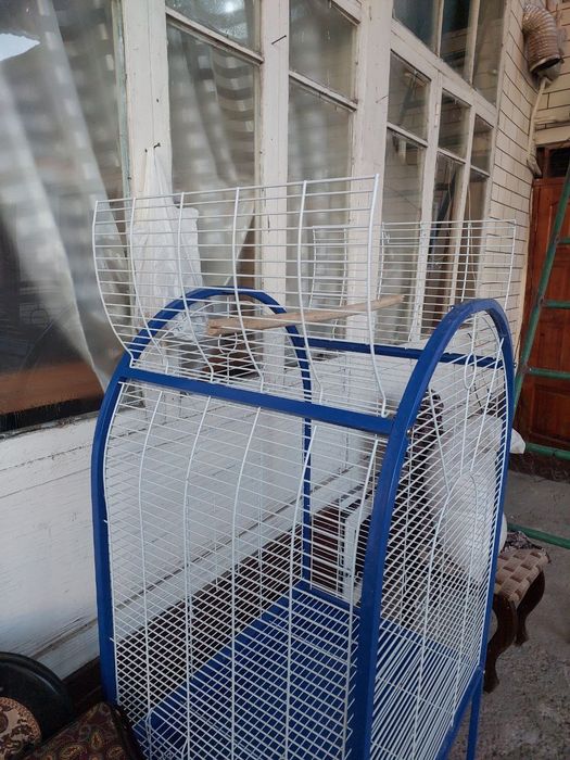 Qush qafaslari sotiladi