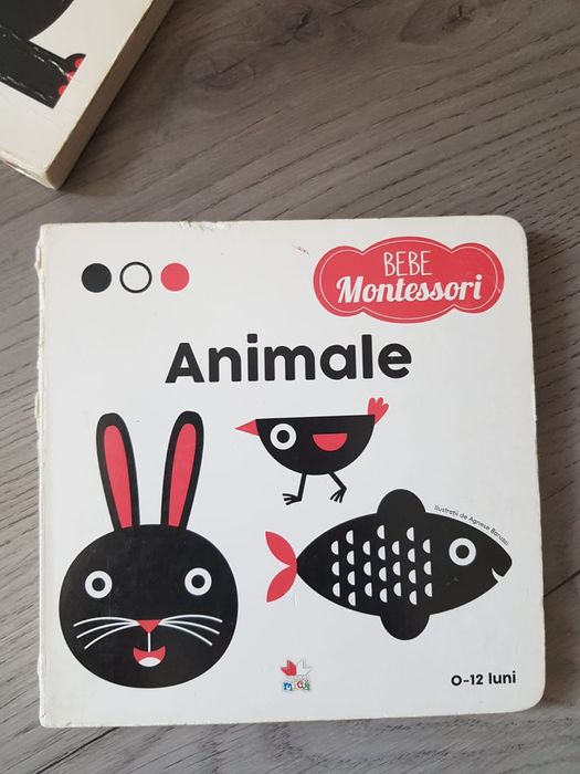 Set 6 cărți cartonate copii