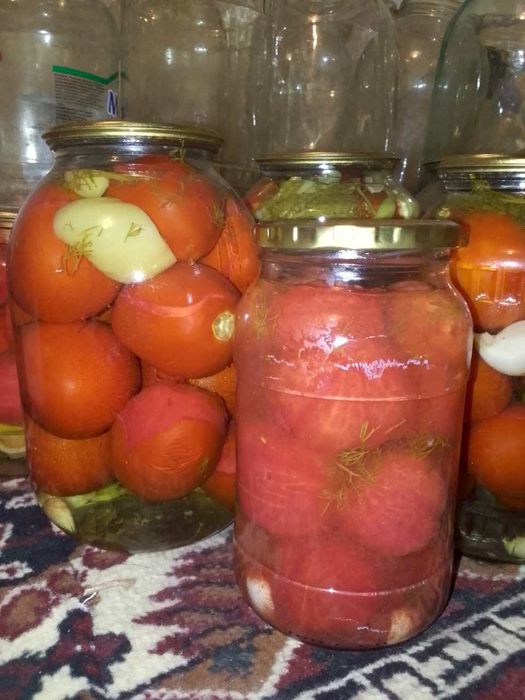 Ёпилган мазали помидор бодринг консервалари