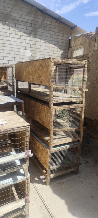 Тауық кетек для несушек