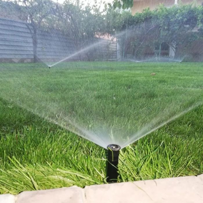 Газон, авто палив