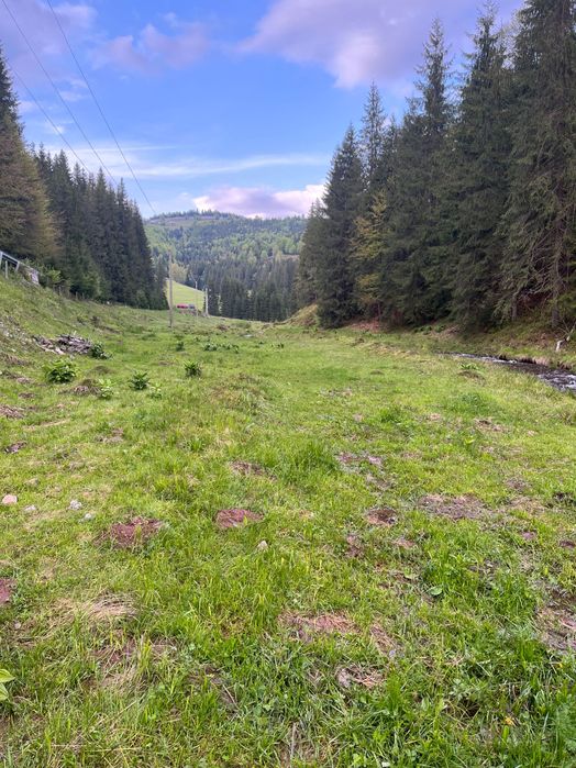 Teren intravilan Arieseni - 1250 mp - lângă drum asfaltat