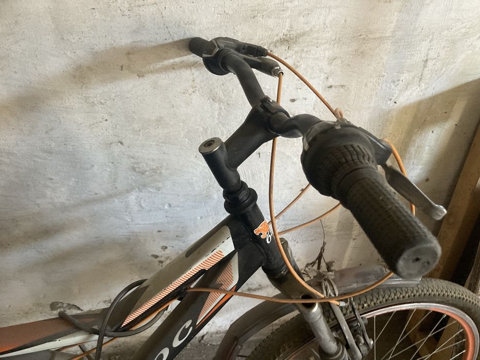 Велик бу барс буб