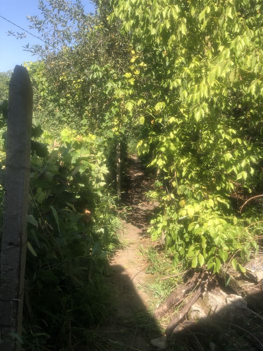 Къща с двор и геран