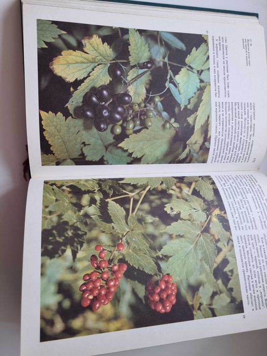 продам книгу " дары природы "