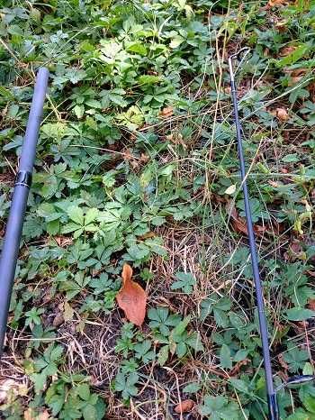 Шаранска въдица Legend Carp 3.60m, 3.75lb, 2 части