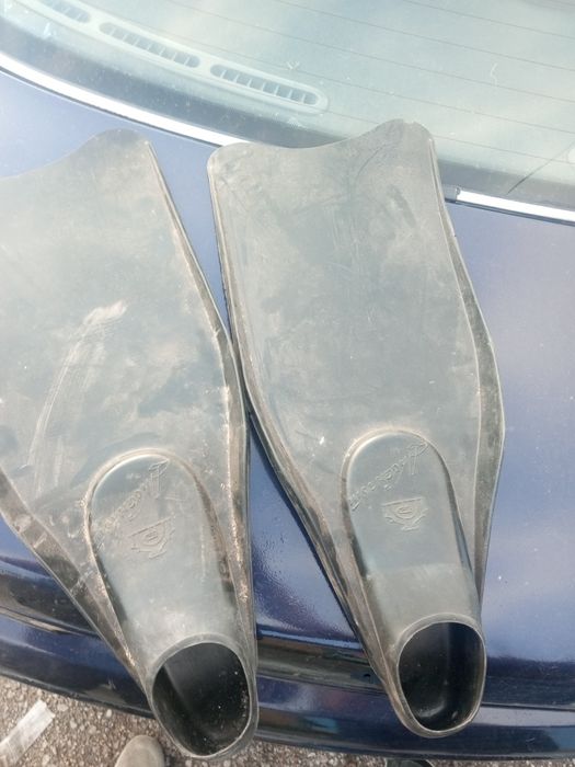 Продам ласты     .