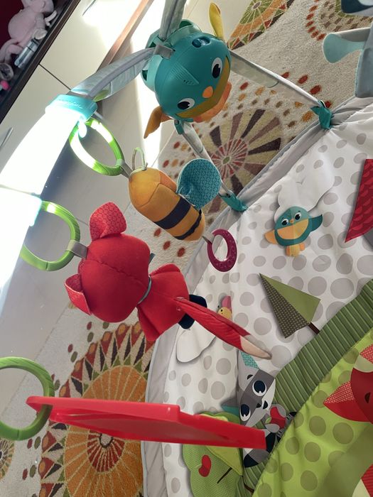 Активна гимнастика Tiny love Dynamic Gymini