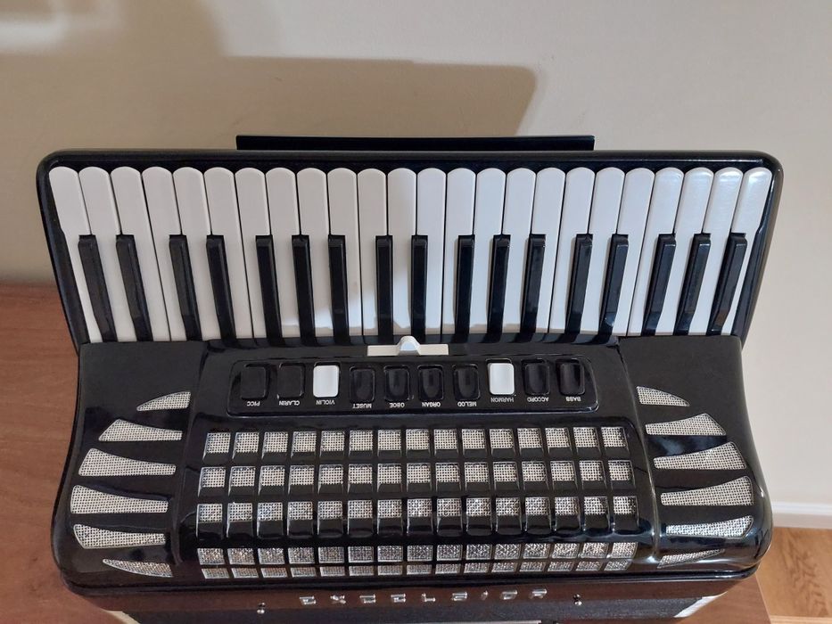 Acordeon excelsior