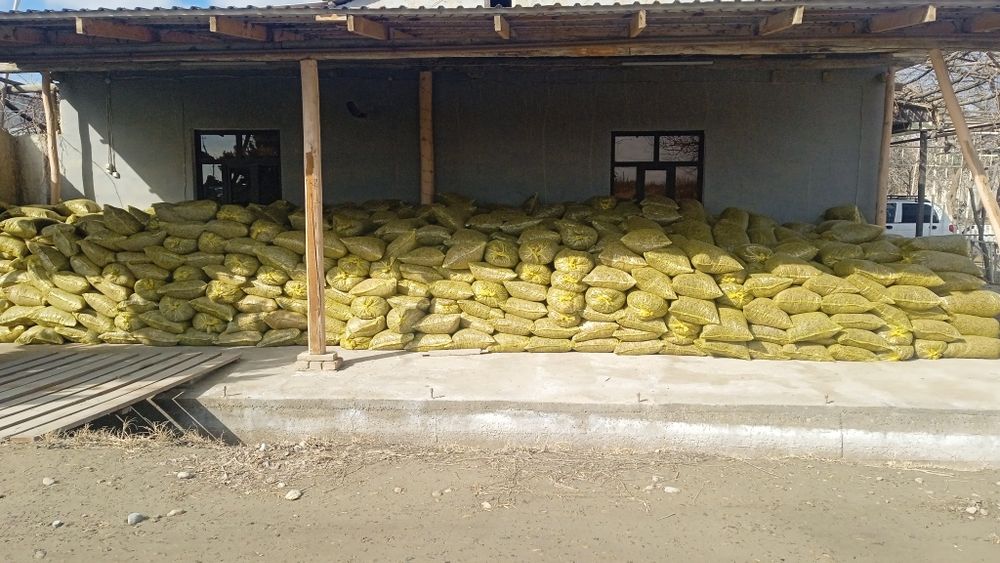 Senaj sotiladi.Donli sifati zoʻr