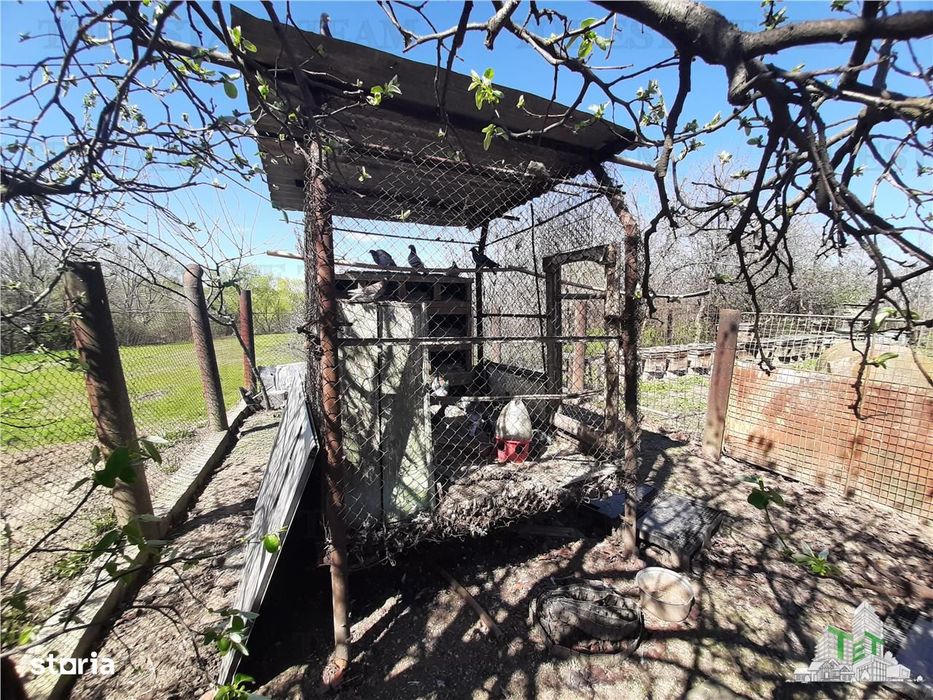 Teren 4000 mp + casa demolabila in BragadiruVarteju (Magurele)