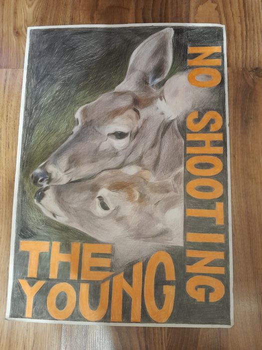 Liceul de Arta - admitere