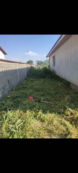 Tund iarba,tuia, curăț și întrețin gradini, curți