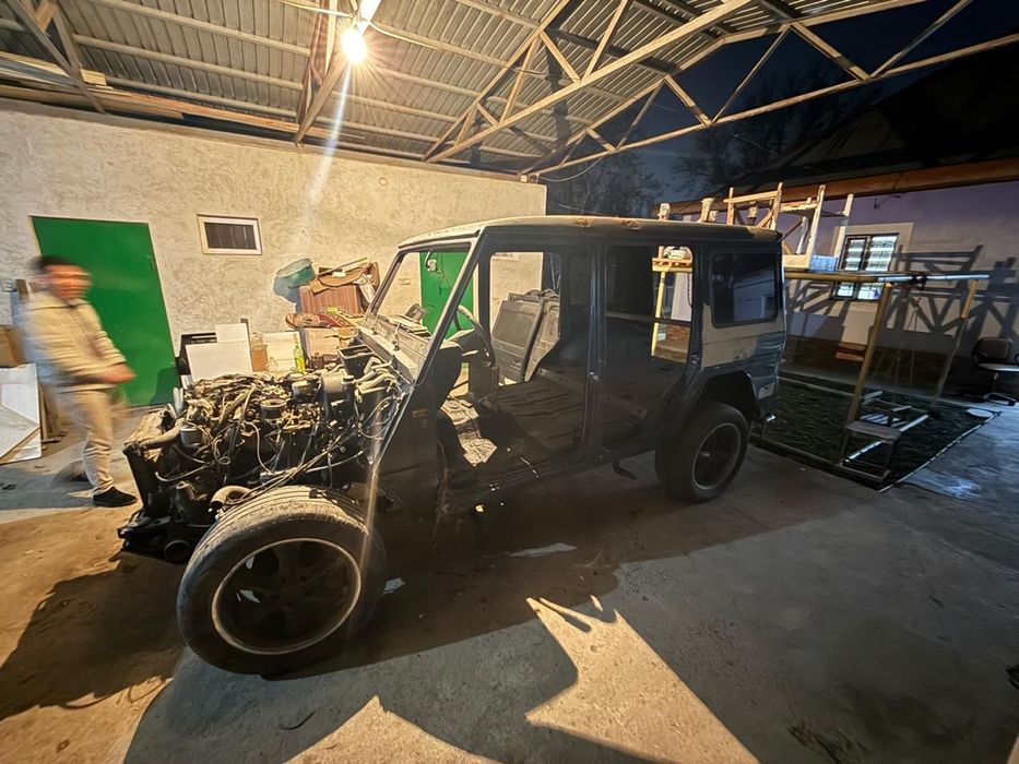 Мотарис электрик