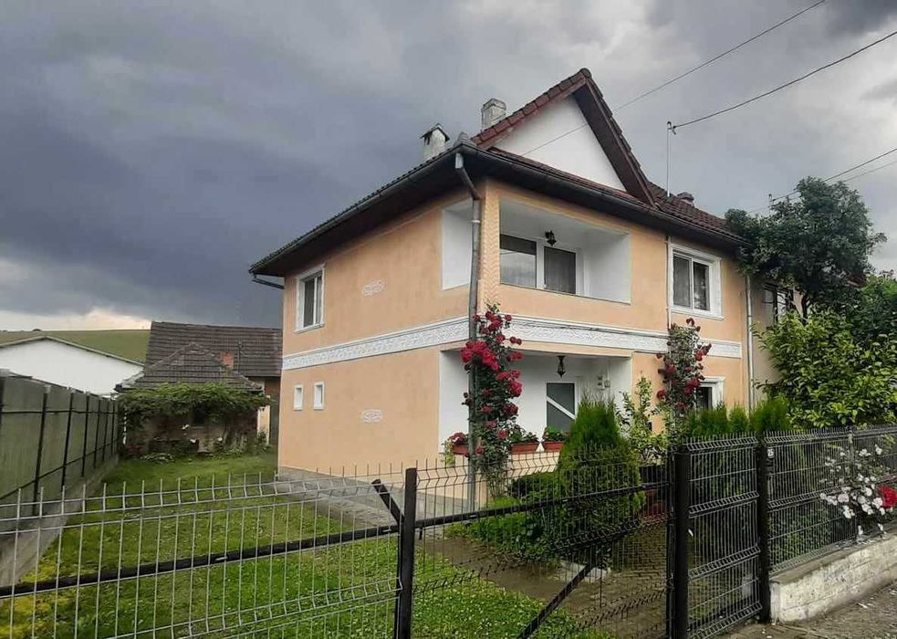 Două case de vânzare, în aceeași curte!!!
