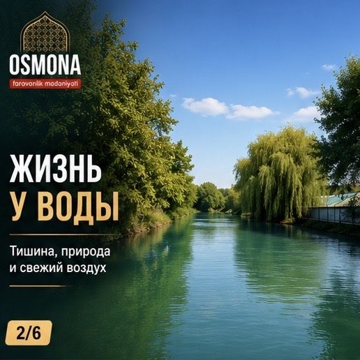 Дом у реки в Кибрае (авторский проект)