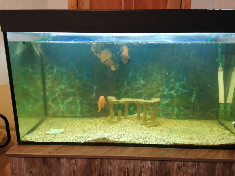 Продам аквариум