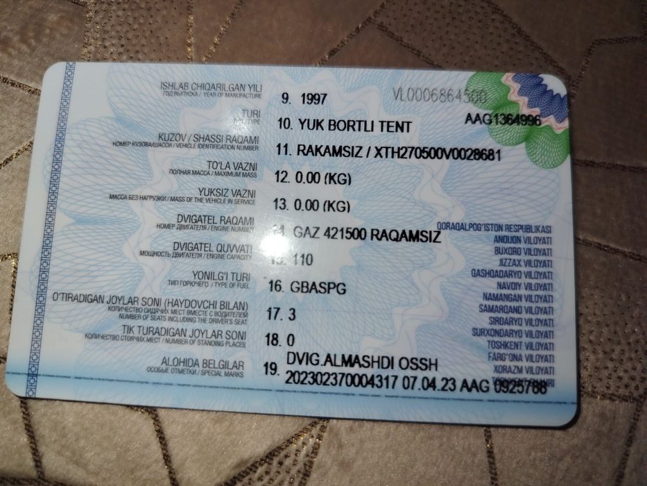 Gazel sotiladi. Yurib turgan.