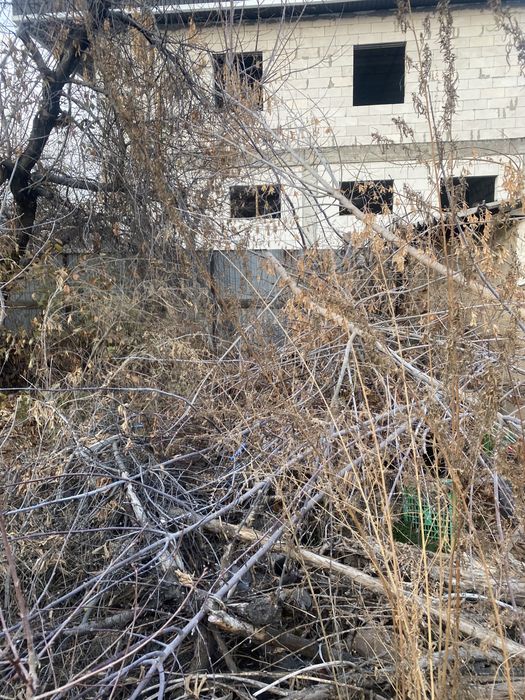 Дрова ( отын) тегін