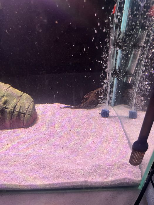 Аквариум 115 литров