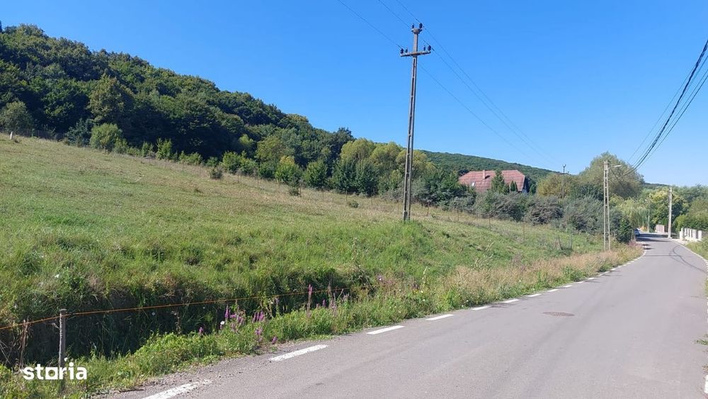 Teren in Corunca , langa padure, 2025mp