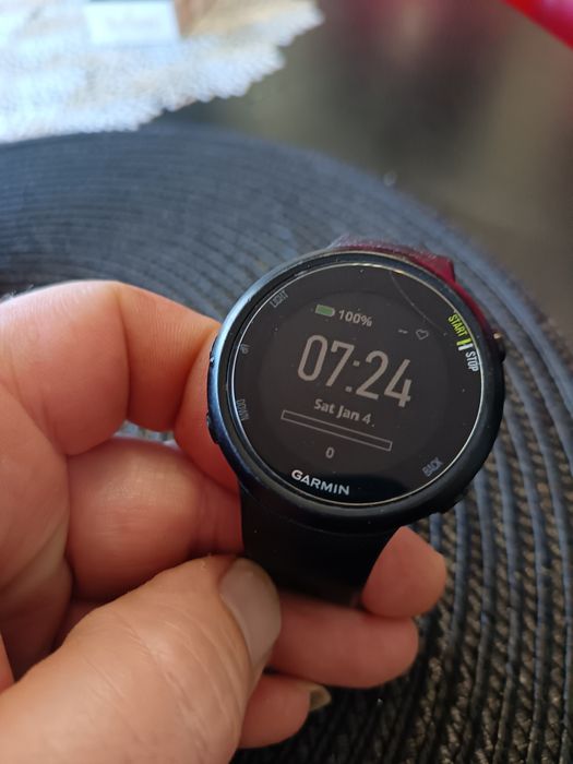 Garmin forerunner 45