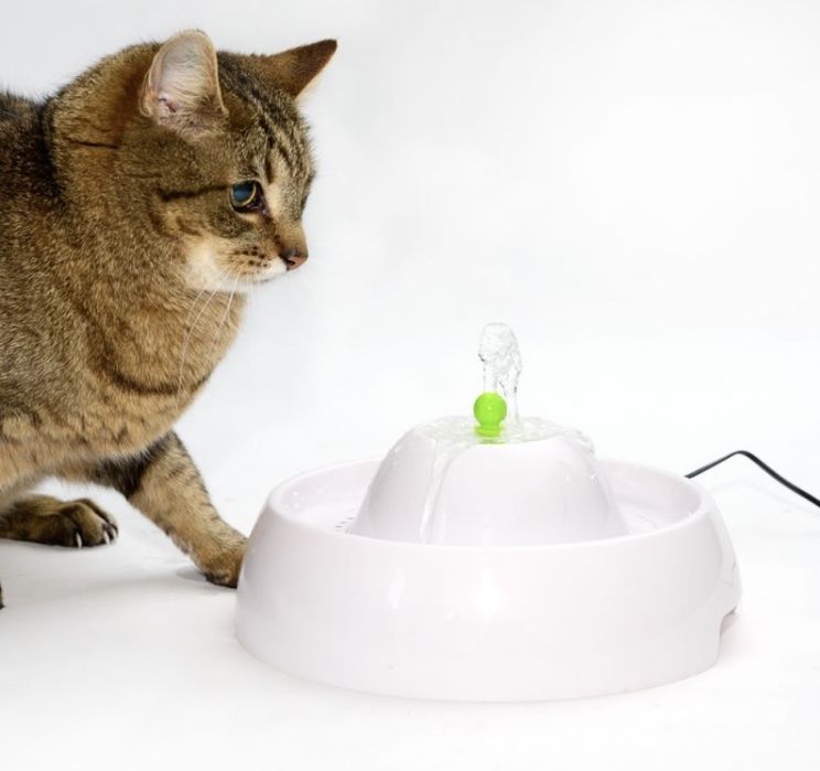 Fantana adapatoare pisici caini