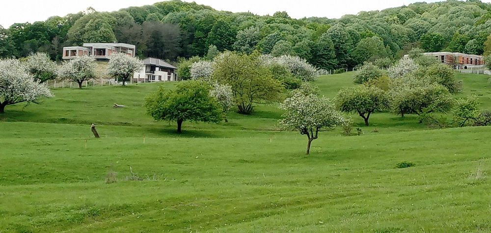 De vanzare teren intravilan 1000 mp - zona de exceptie