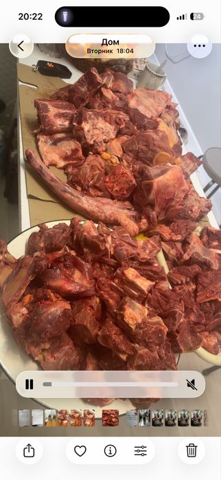 Суп набор күнде свежии келеді