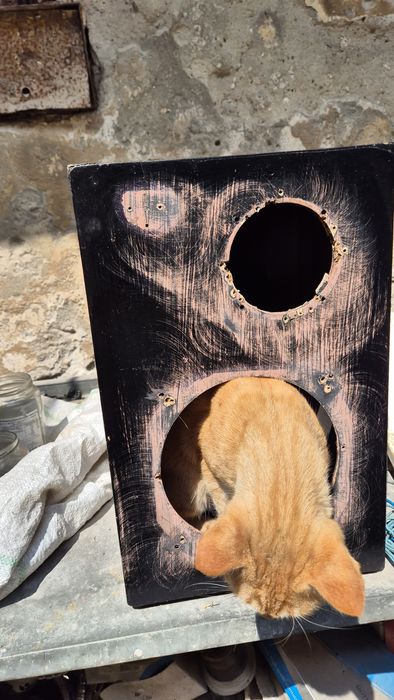 Statie amplificare si boxe