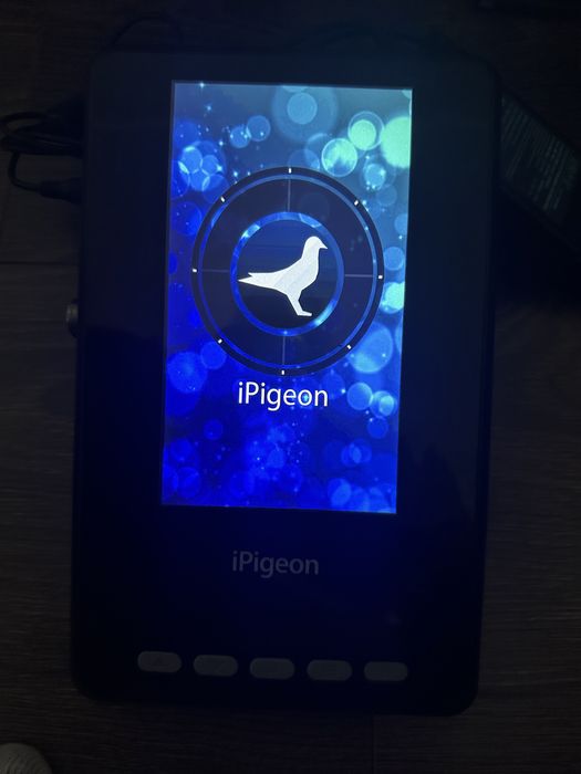 Disponibil ceas porumbei V8 ( Topigeon)