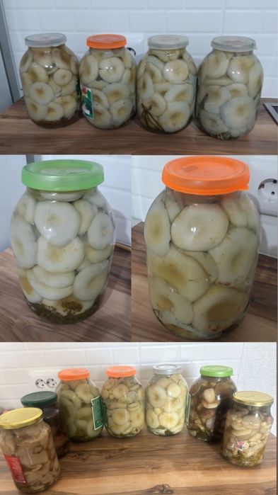 Продам грибы грузди, маслята