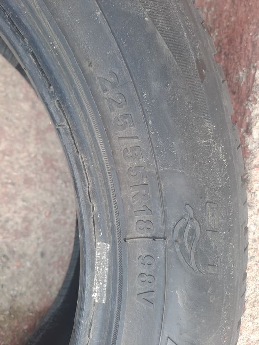 Бу шиный Талгар алмалык