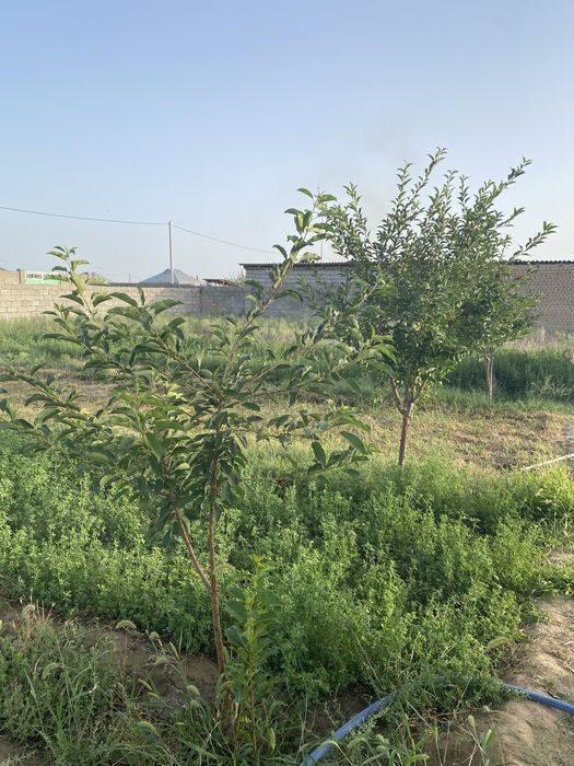 Ортақ районынан Үй сатылады!!!