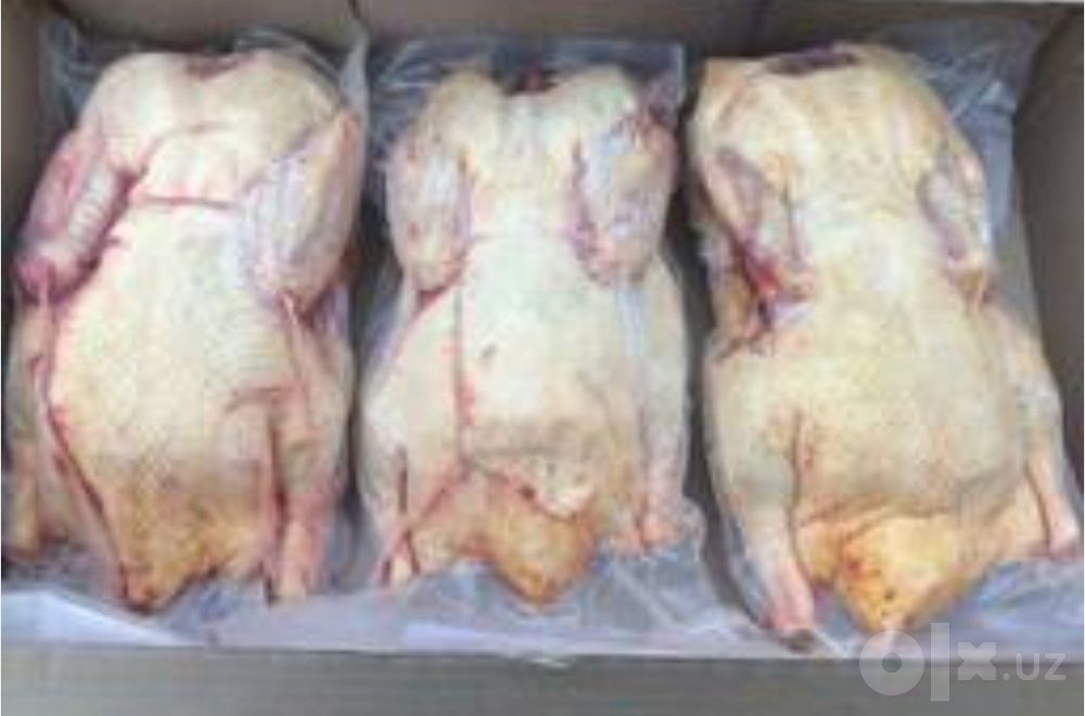 Продаются утки. Экологически чистый продукт.