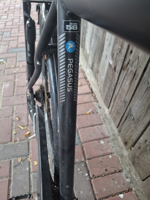 Bicicleta Pegasus Corona Trekking