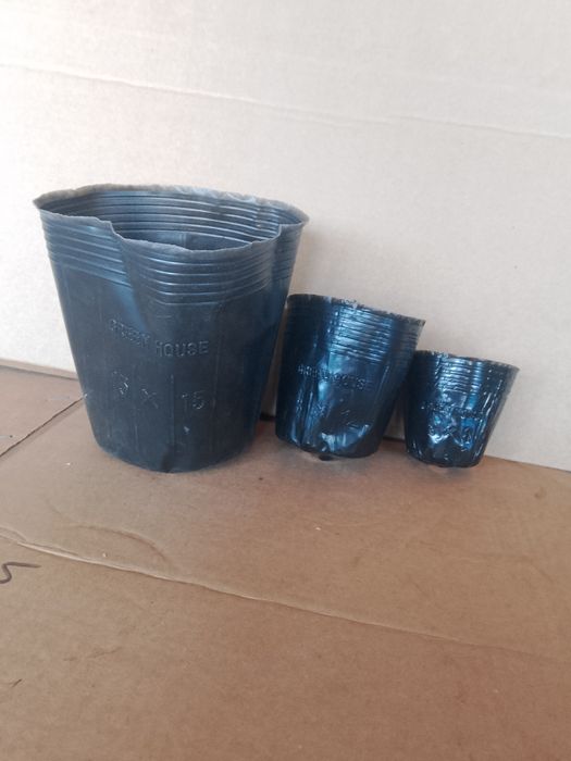 Kalish stakanchik razmeri 8x8 12x13 15x15 18x18 razmeri bor optm narxd
