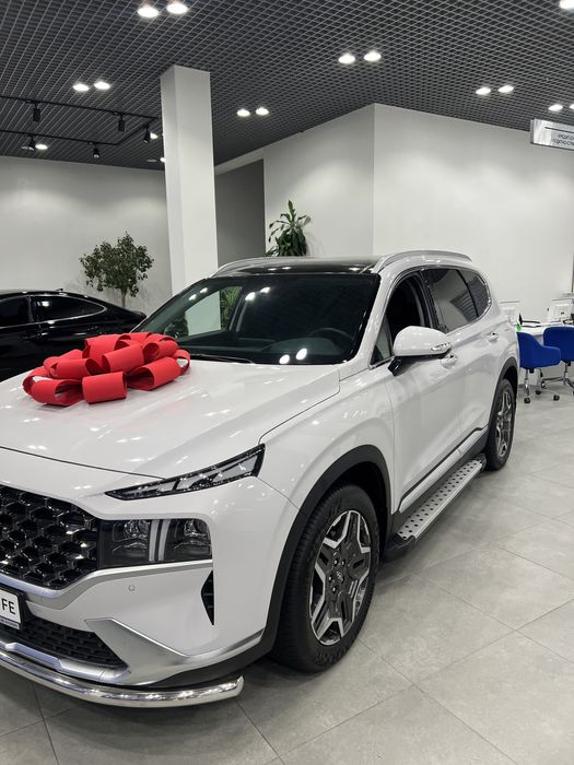 Hyundai Santafe palisad tucson sonata elantra