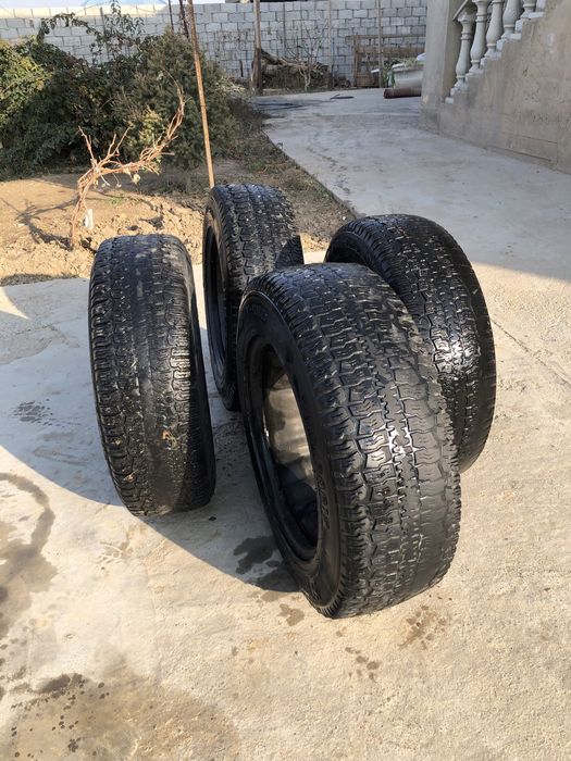 Нива шина шымкентте тур