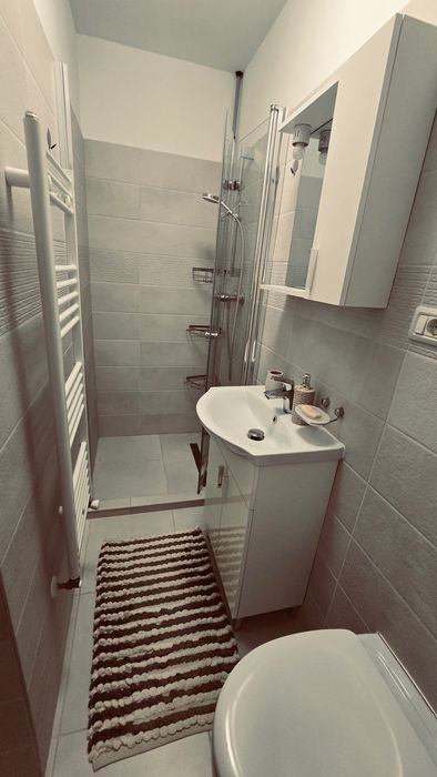 Apartament în Timișoara